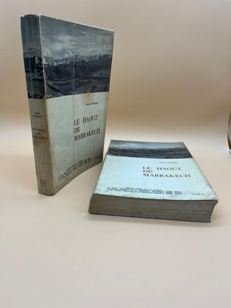 WhatsApp Image 2025-10-09 at 17.07.22 (2)