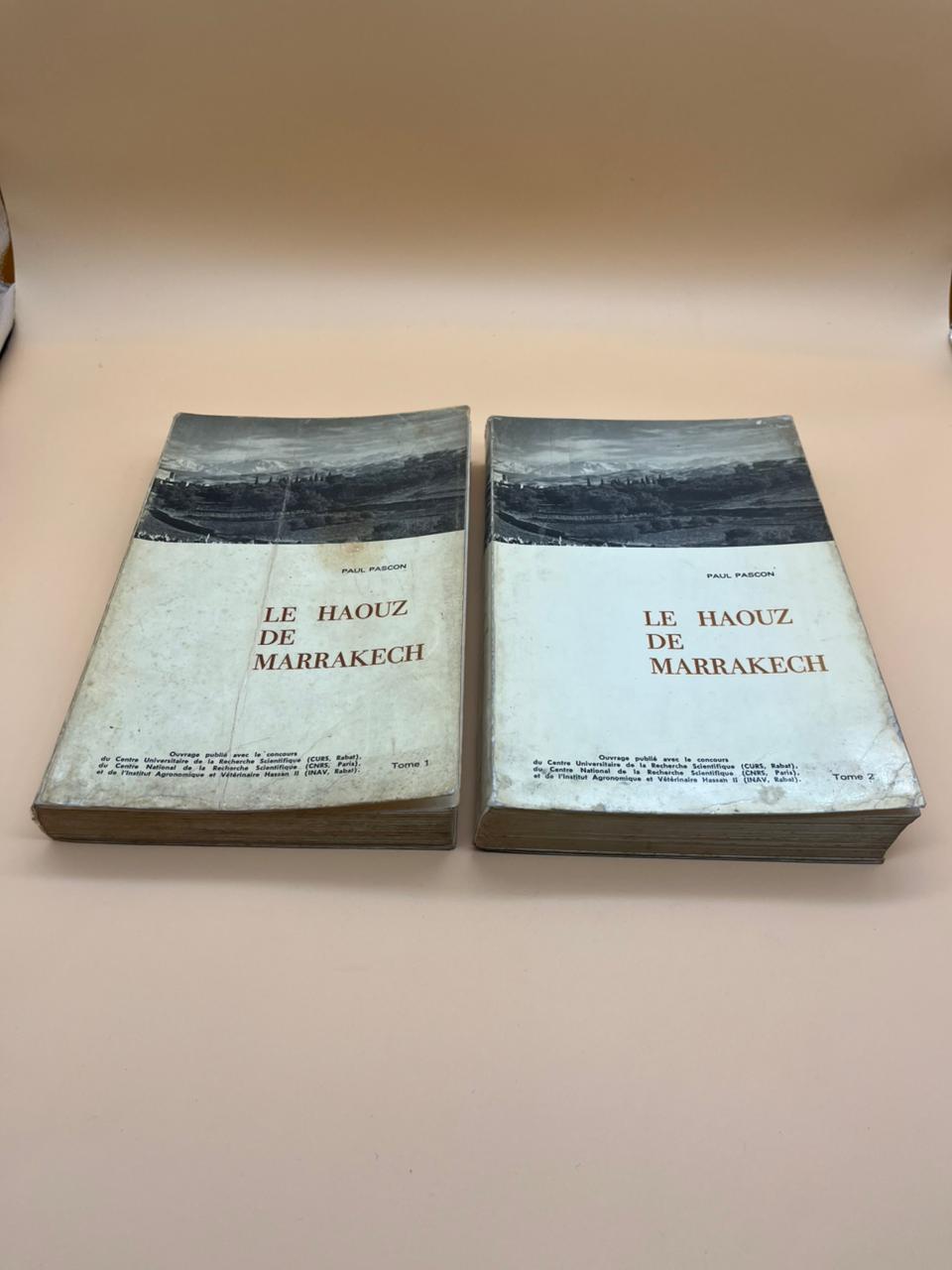 WhatsApp Image 2025-10-09 at 17.07.22