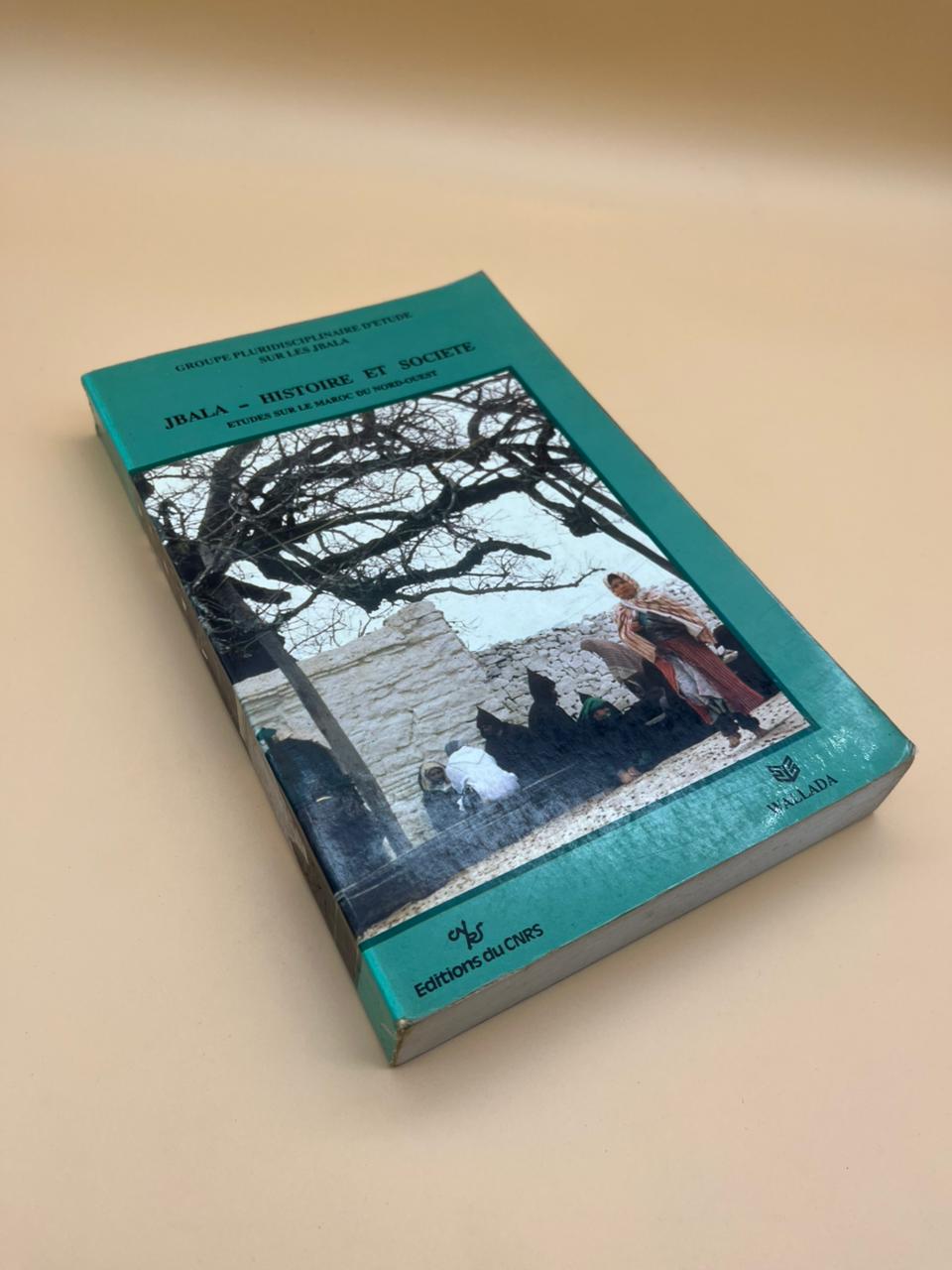 WhatsApp Image 2025-10-09 at 17.19.49