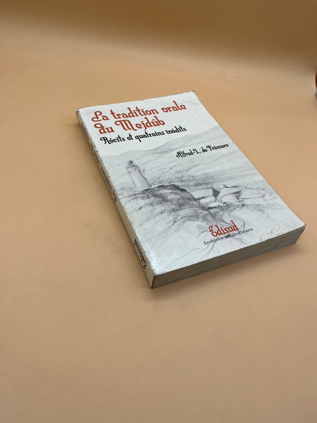 WhatsApp Image 2025-10-12 at 00.57.53