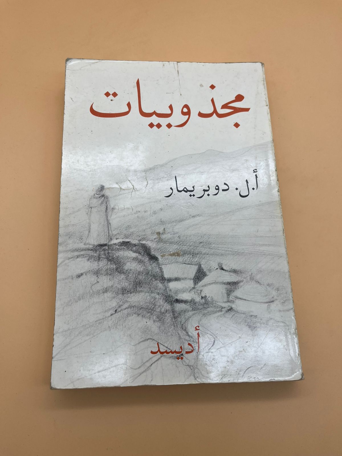 WhatsApp Image 2025-10-12 at 00.57.56