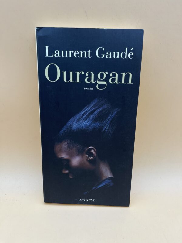 Ouragan – Roman contemporain et drame humain de Laurent Gaudé