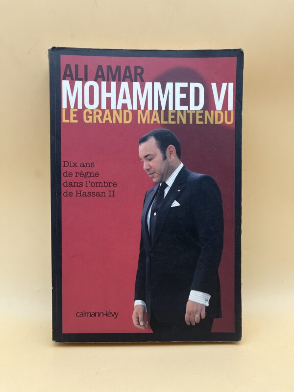 Mohammed VI, le grand malentendu – Dix ans de règne dans l’ombre de Hassan II – Ali Amar