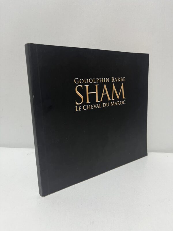 Sham, le cheval du Maroc